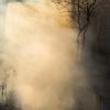 Alt, Jane Fulton – Burn No. 93